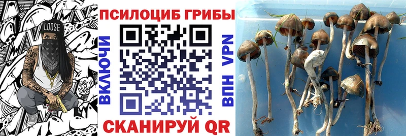 Галлюциногенные грибы GOLDEN TEACHER Гагарин